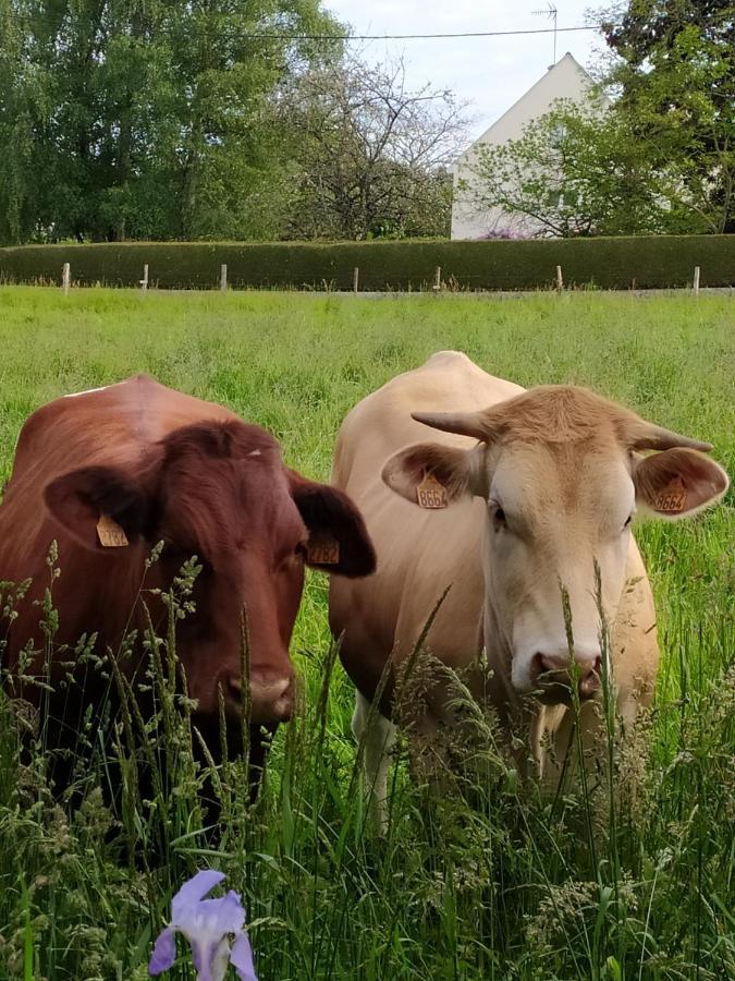 La Chaussee D'Olivet En Mayenne Esterno foto